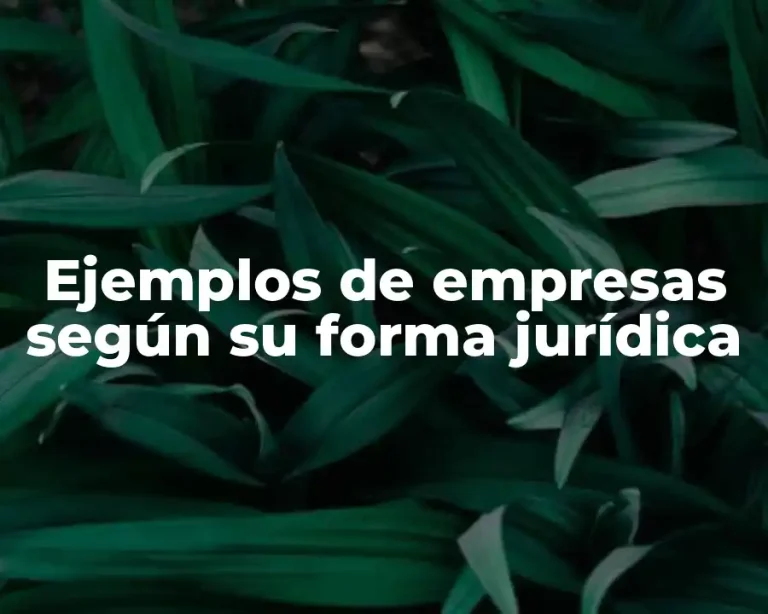 Ejemplos de empresas según su forma jurídica