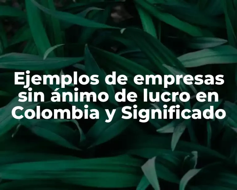 Ejemplos de empresas sin ánimo de lucro en Colombia y Significado
