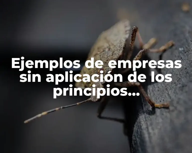 Ejemplos de empresas sin aplicación de los principios administrativos y Significado