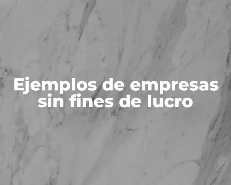 Ejemplos de empresas sin fines de lucro