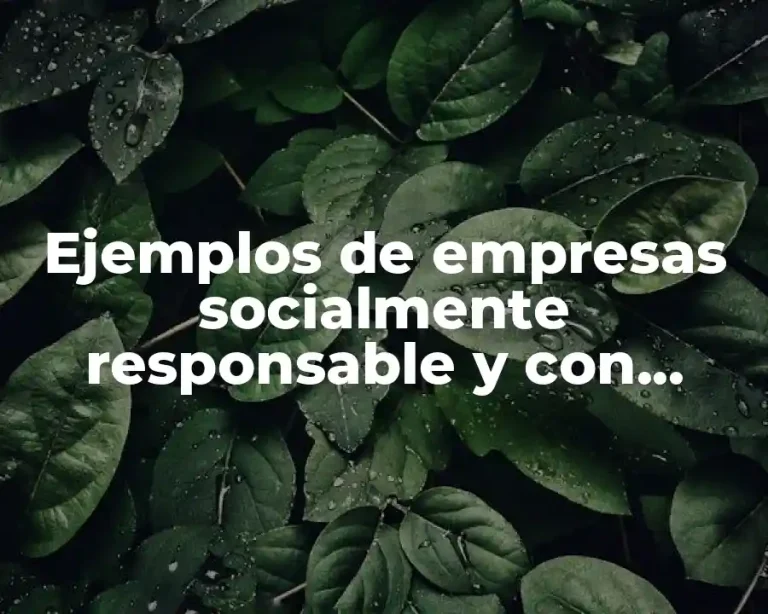 Ejemplos de empresas socialmente responsable y con cadena de valor