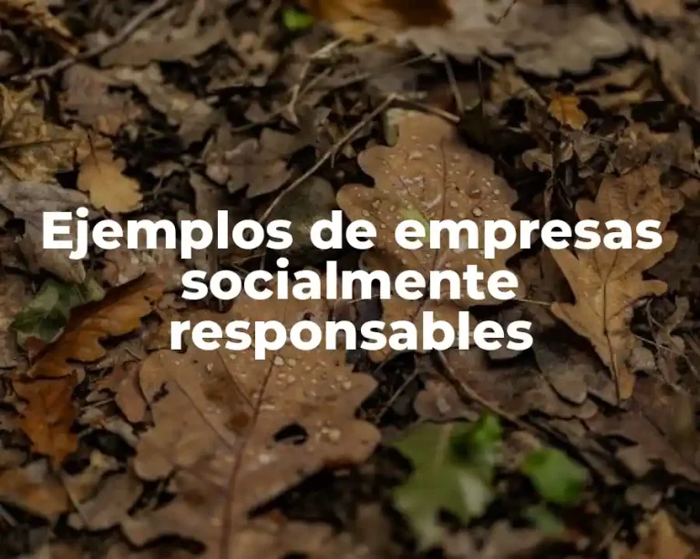 Ejemplos de empresas socialmente responsables