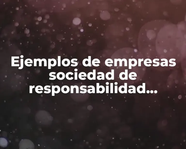 Ejemplos de empresas sociedad de responsabilidad limitada