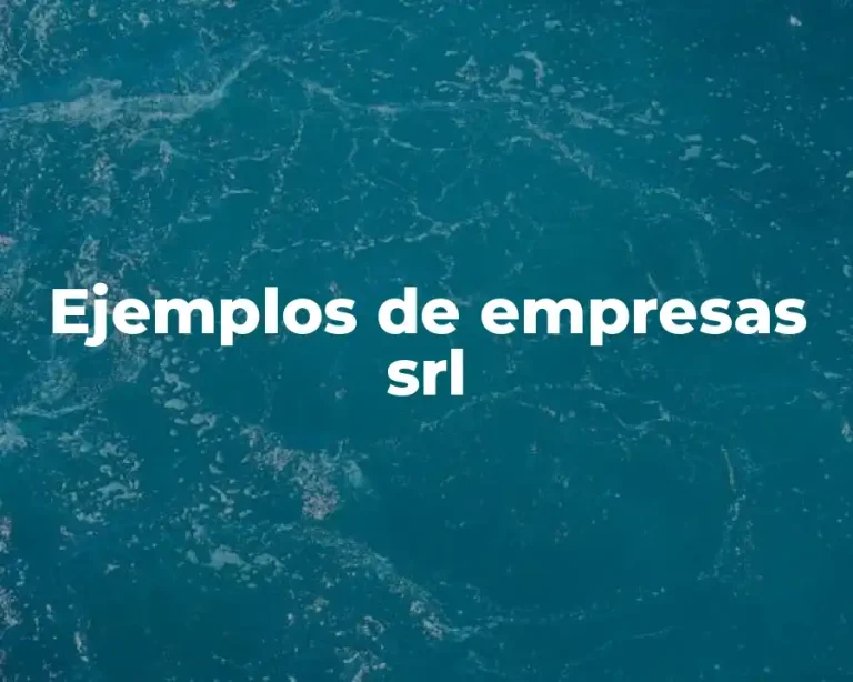 Ejemplos de empresas srl