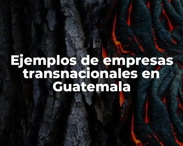 Ejemplos de empresas transnacionales en Guatemala