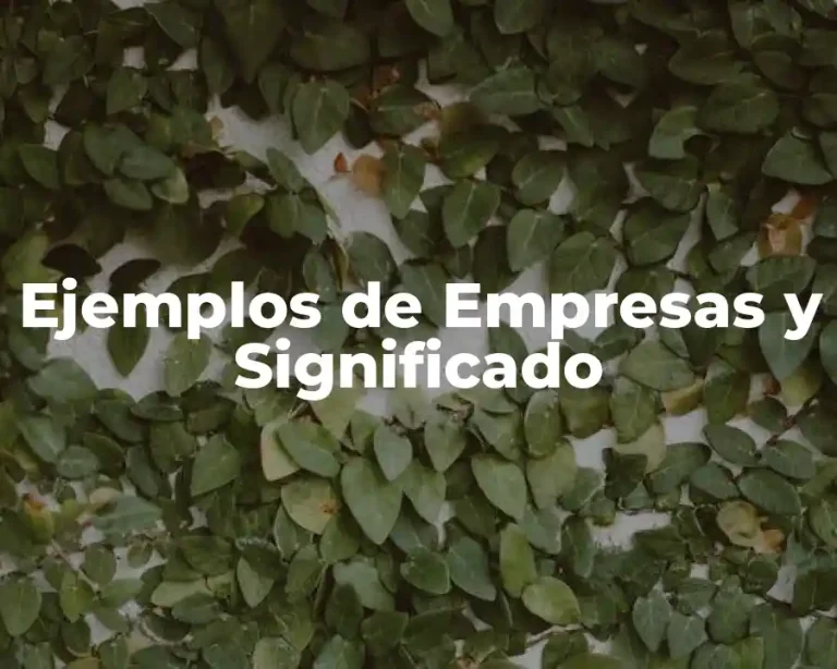 Ejemplos de Empresas y Significado