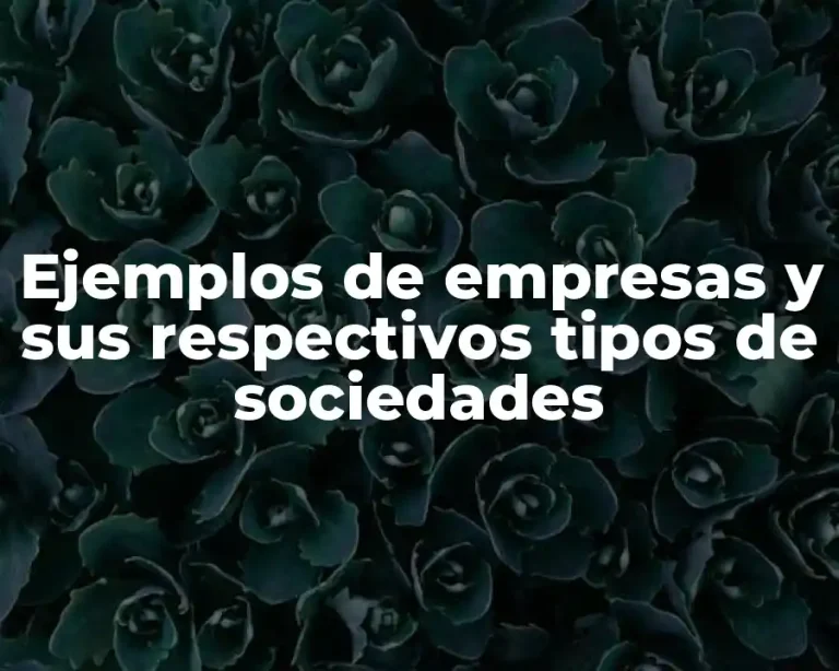 Ejemplos de empresas y sus respectivos tipos de sociedades