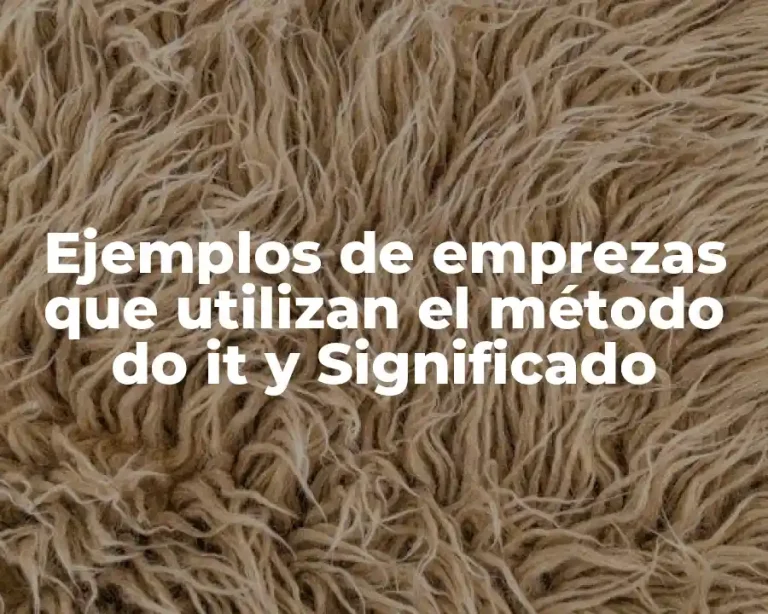 Ejemplos de emprezas que utilizan el método do it y Significado