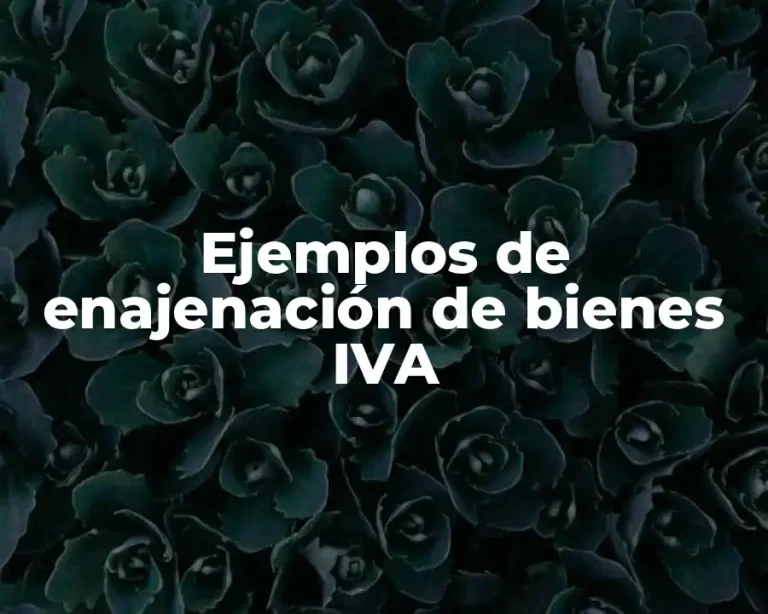 Ejemplos de enajenación de bienes IVA