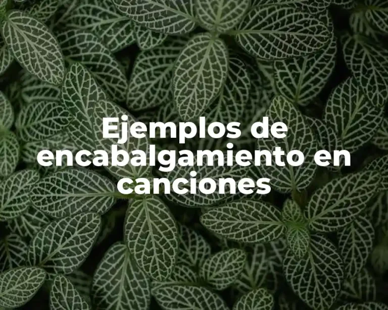 Ejemplos de encabalgamiento en canciones