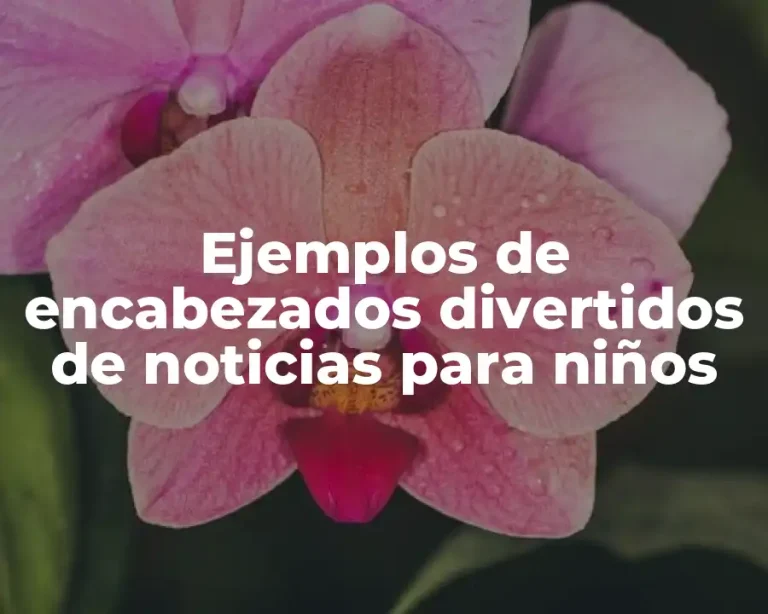 Ejemplos de encabezados divertidos de noticias para niños