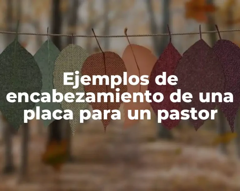 Ejemplos de encabezamiento de una placa para un pastor