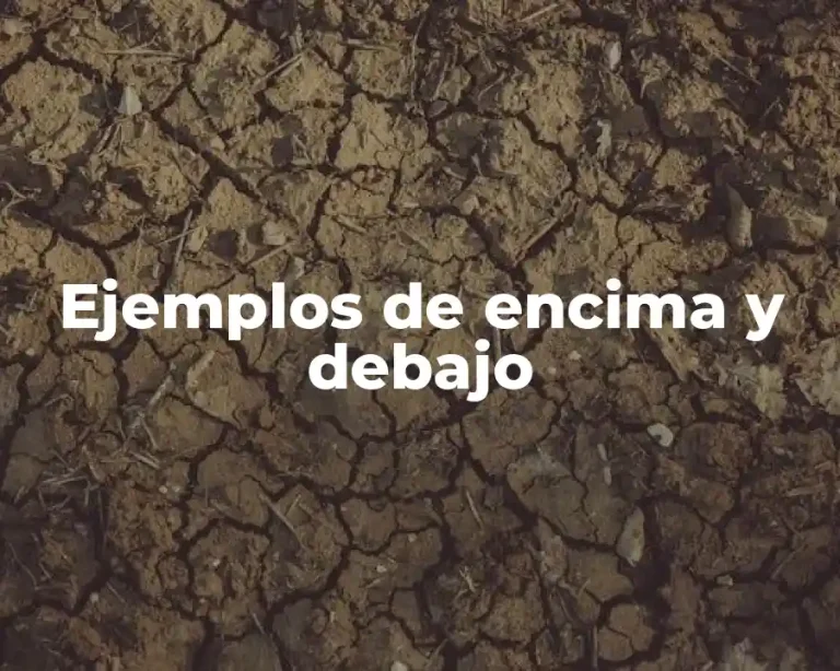 Ejemplos de encima y debajo