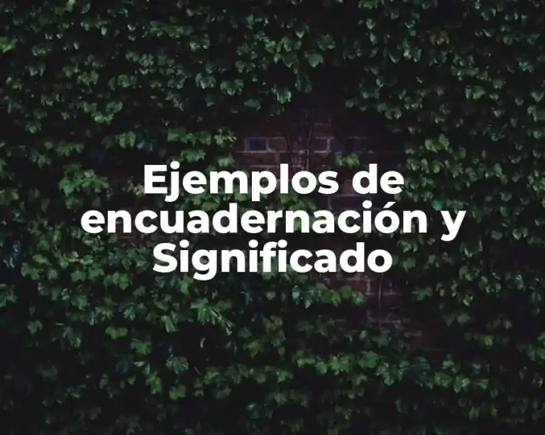 Ejemplos de encuadernación y Significado