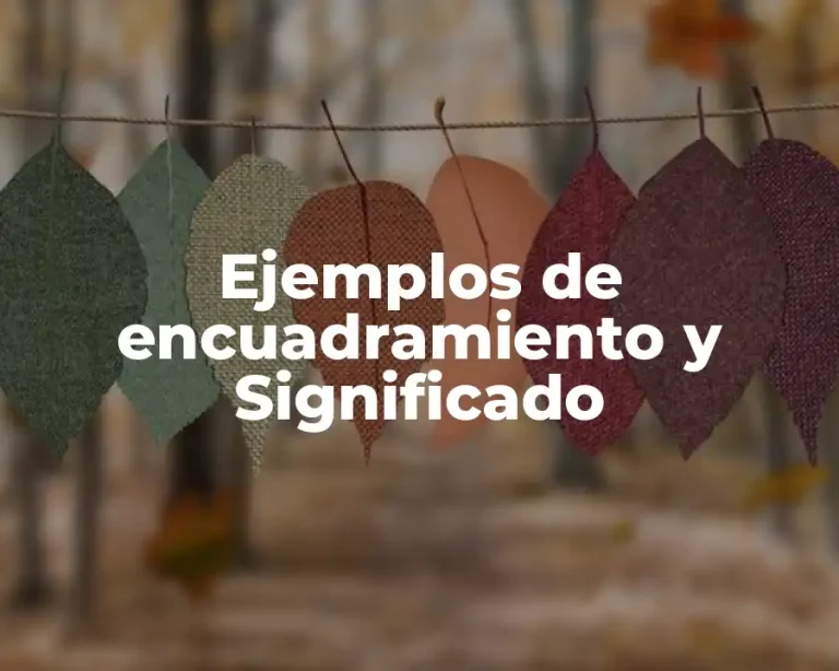 Ejemplos de encuadramiento y Significado