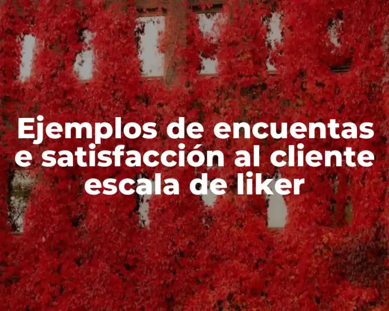 Ejemplos de encuentas e satisfacción al cliente escala de liker