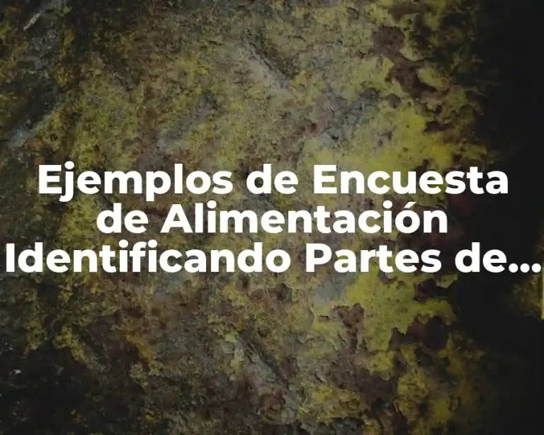 Ejemplos de Encuesta de Alimentación Identificando Partes de Cada Uno