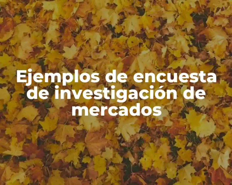 Ejemplos de encuesta de investigación de mercados