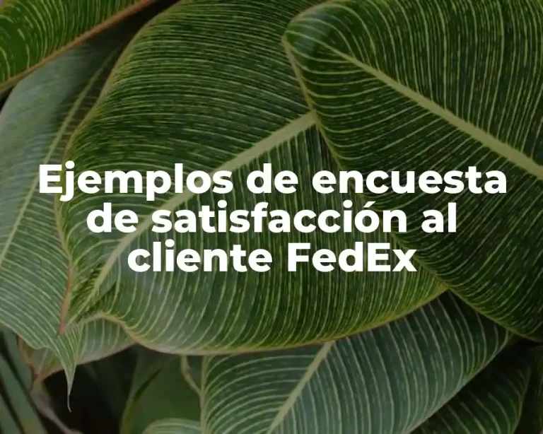 Ejemplos de encuesta de satisfacción al cliente FedEx