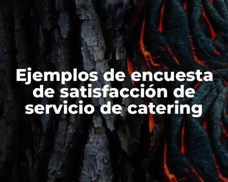 Ejemplos de encuesta de satisfacción de servicio de catering