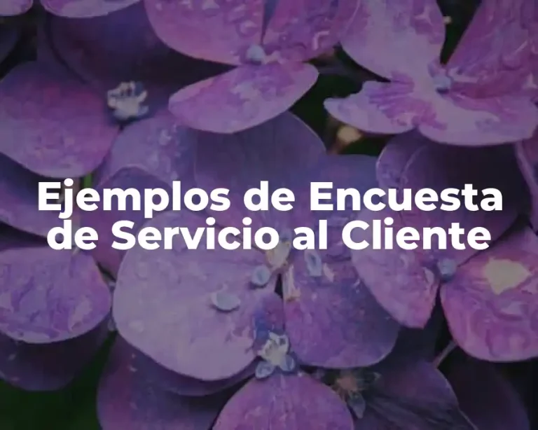 Ejemplos de Encuesta de Servicio al Cliente