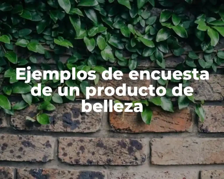 Ejemplos de encuesta de un producto de belleza