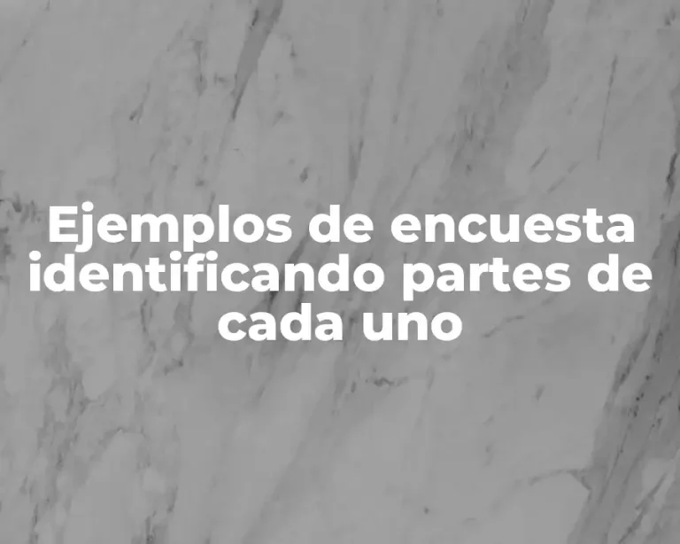 Ejemplos de encuesta identificando partes de cada uno