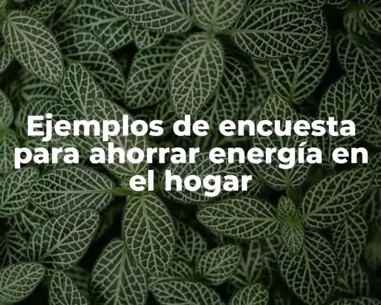Ejemplos de encuesta para ahorrar energía en el hogar