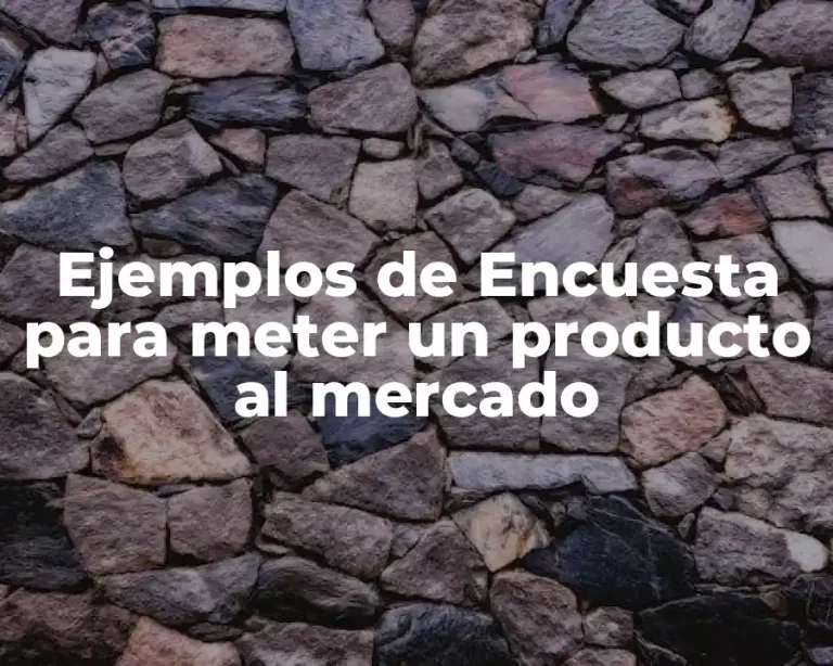Ejemplos de Encuesta para meter un producto al mercado