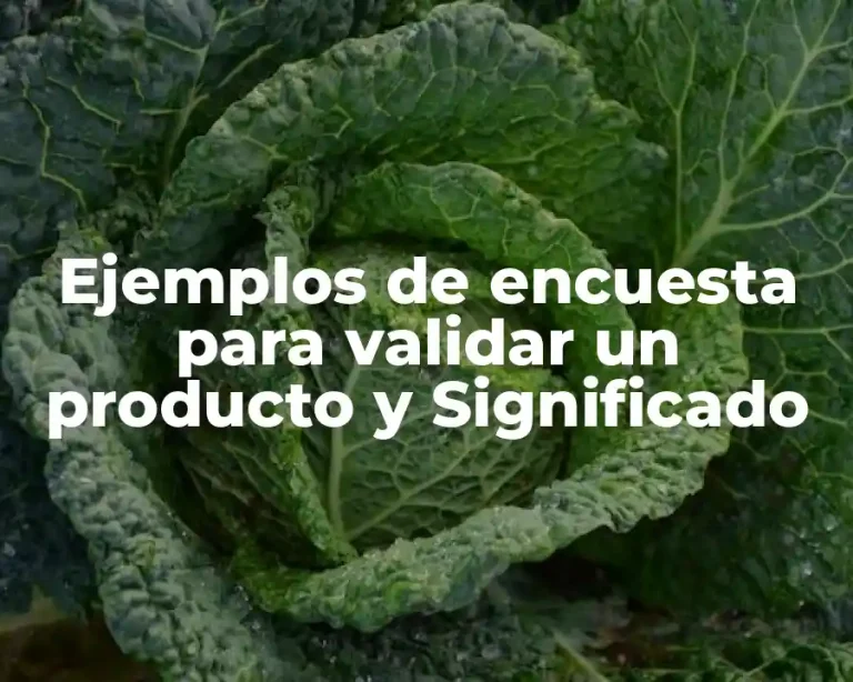 Ejemplos de encuesta para validar un producto y Significado