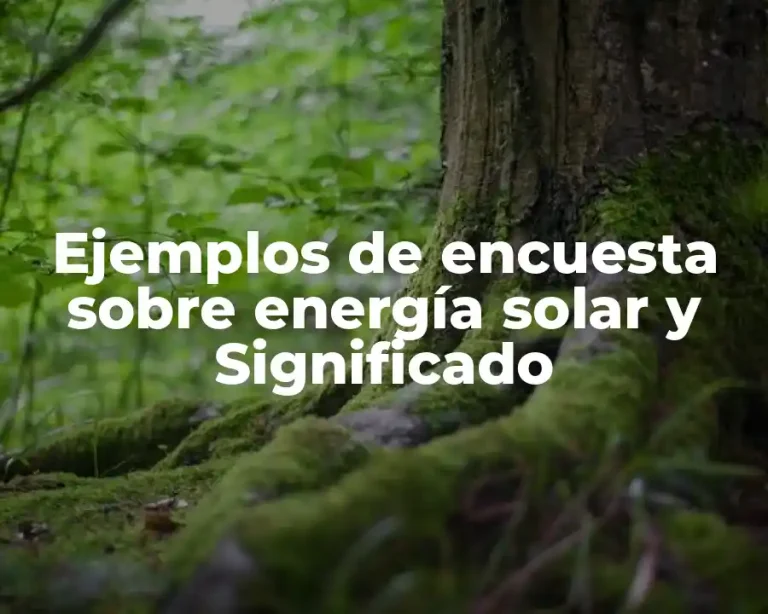 Ejemplos de encuesta sobre energía solar y Significado