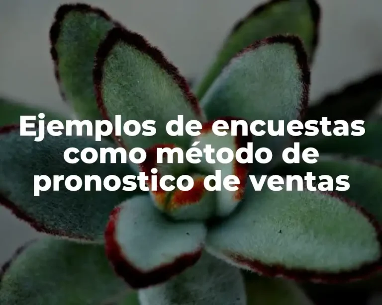 Ejemplos de encuestas como método de pronostico de ventas