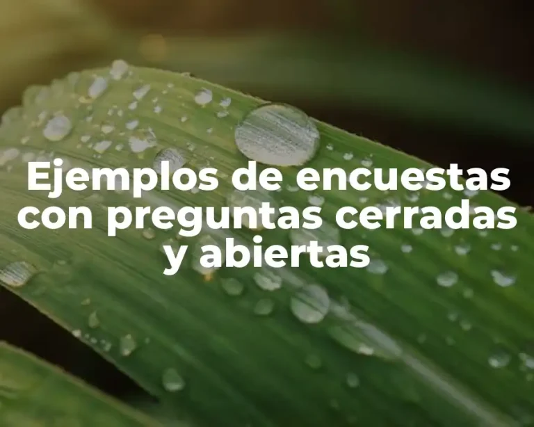Ejemplos de encuestas con preguntas cerradas y abiertas