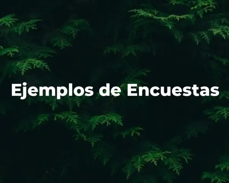 Ejemplos de Encuestas