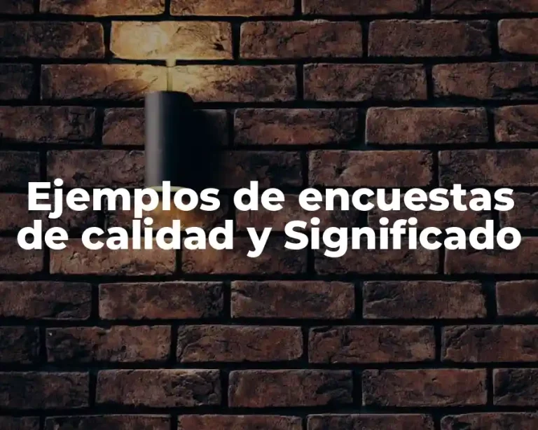 Ejemplos de encuestas de calidad y Significado