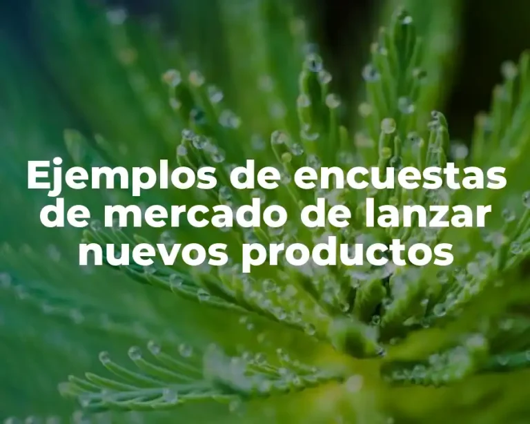 Ejemplos de encuestas de mercado de lanzar nuevos productos