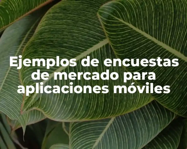 Ejemplos de encuestas de mercado para aplicaciones móviles