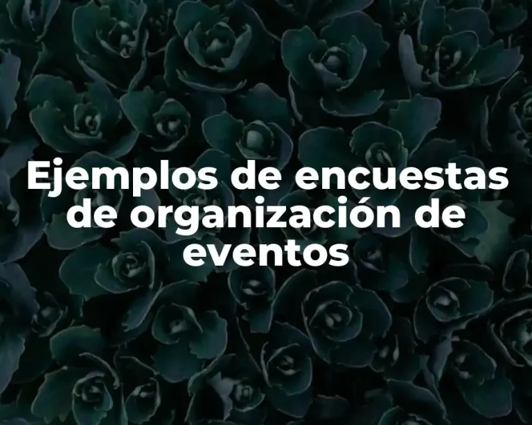 Ejemplos de encuestas de organización de eventos