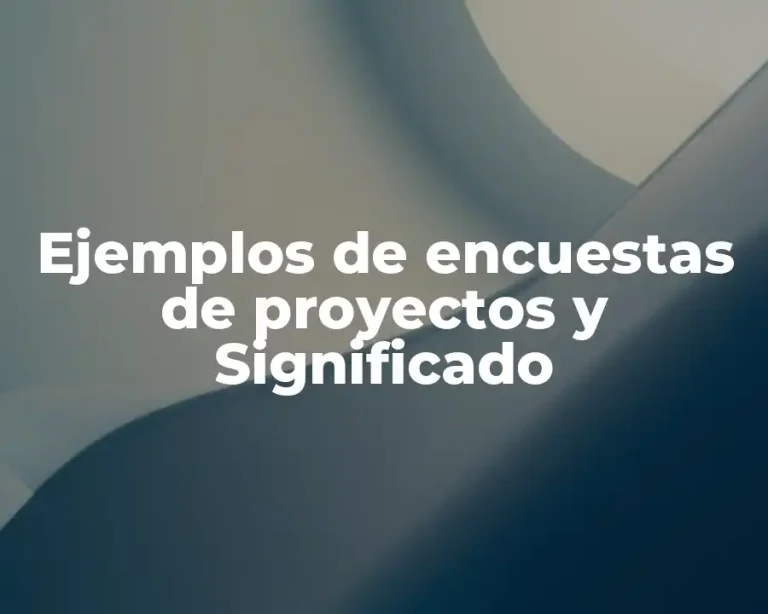 Ejemplos de encuestas de proyectos y Significado