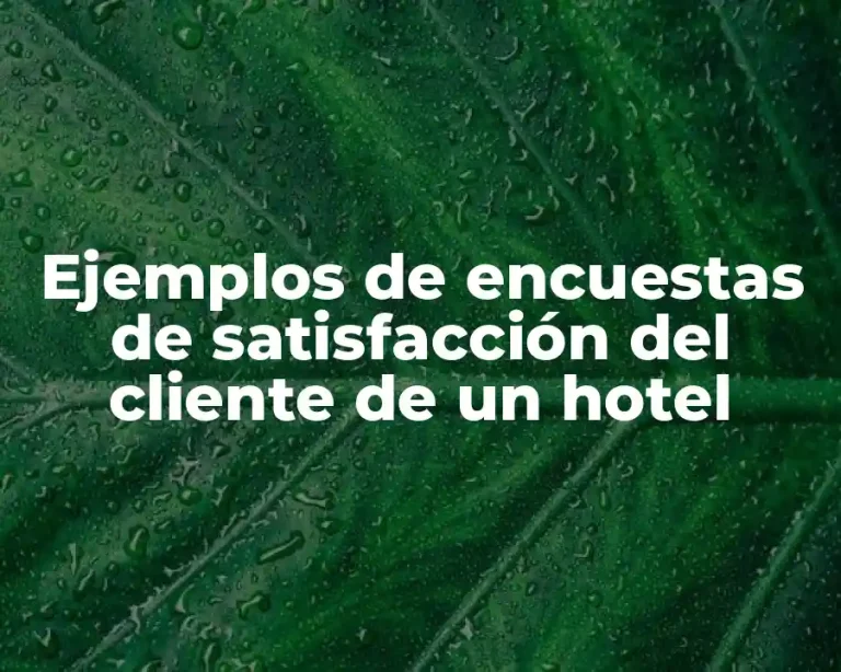 Ejemplos de encuestas de satisfacción del cliente de un hotel