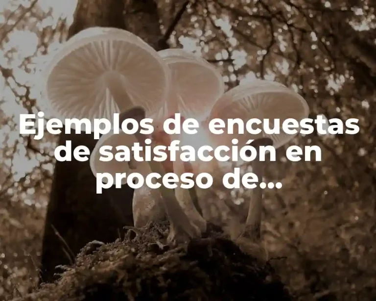Ejemplos de encuestas de satisfacción en proceso de reclutamiento