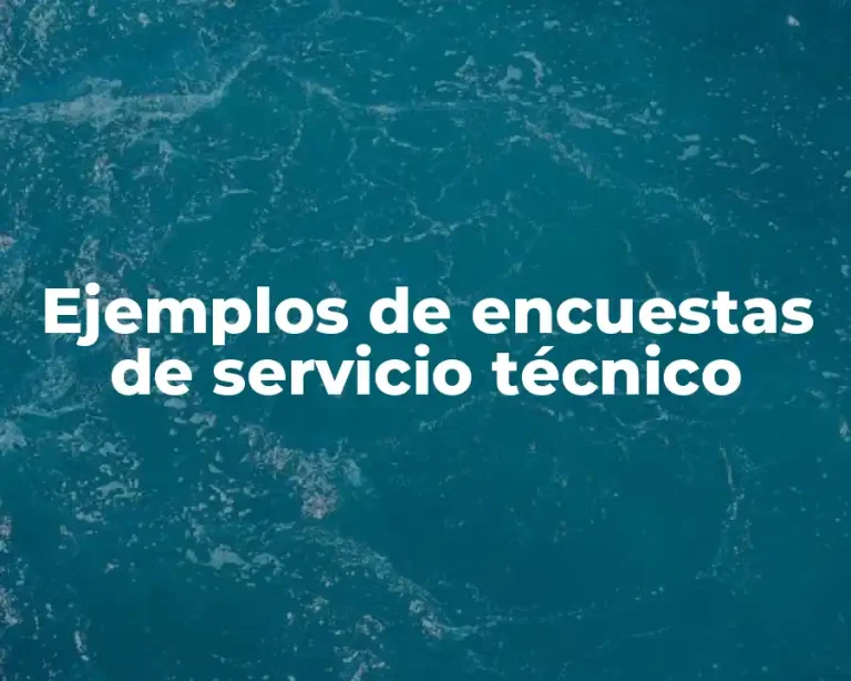 Ejemplos de encuestas de servicio técnico