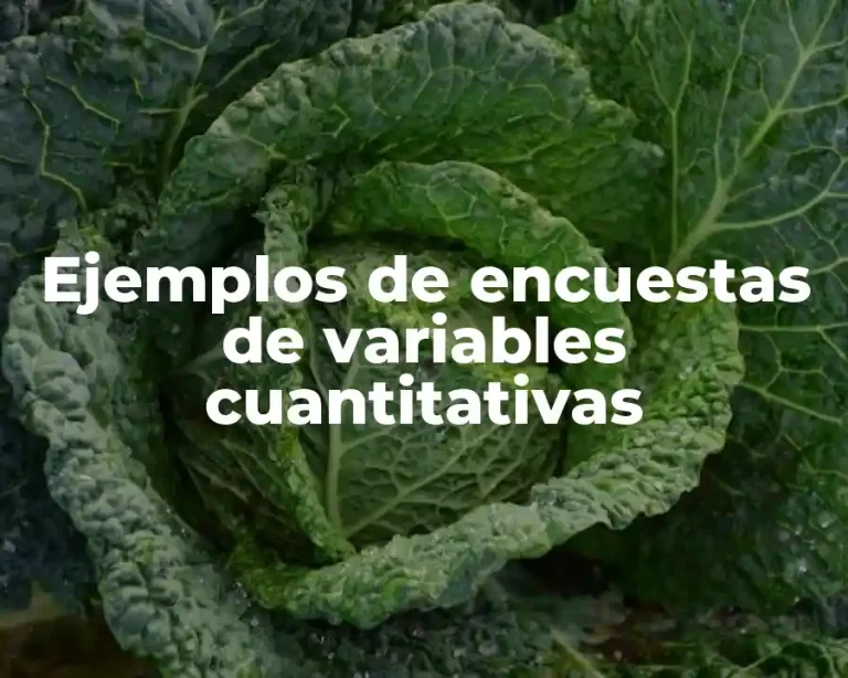 Ejemplos de encuestas de variables cuantitativas