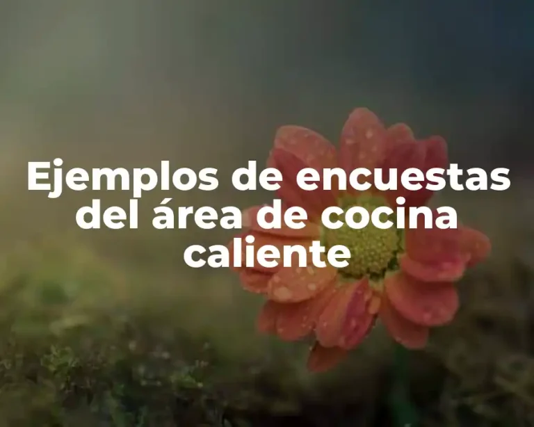 Ejemplos de encuestas del área de cocina caliente
