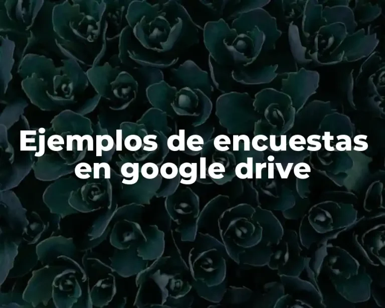 Ejemplos de encuestas en google drive