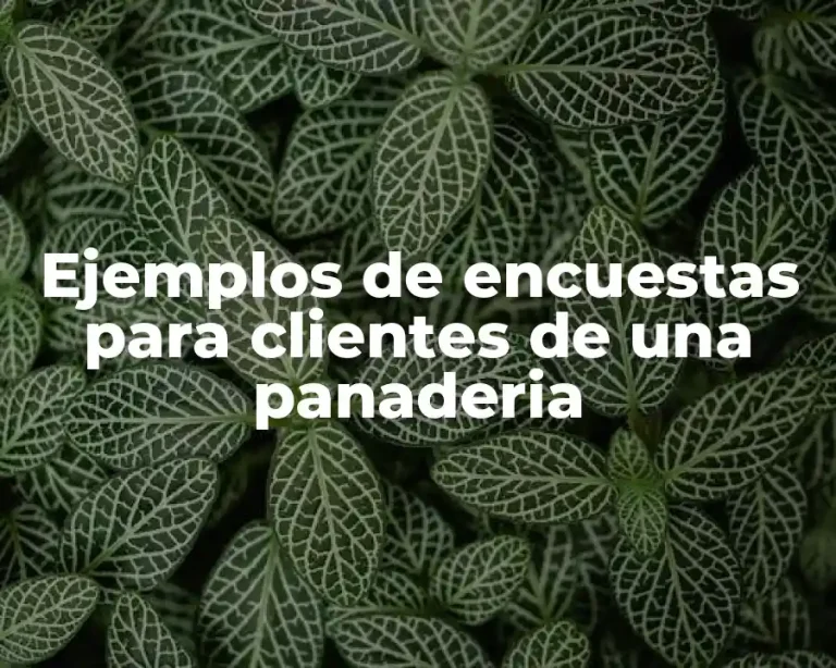 Ejemplos de encuestas para clientes de una panaderia