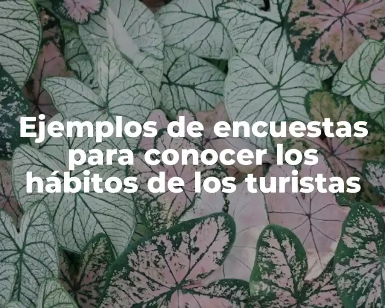 Ejemplos de encuestas para conocer los hábitos de los turistas