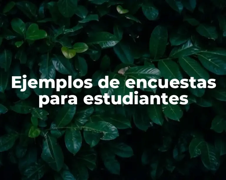 Ejemplos de encuestas para estudiantes