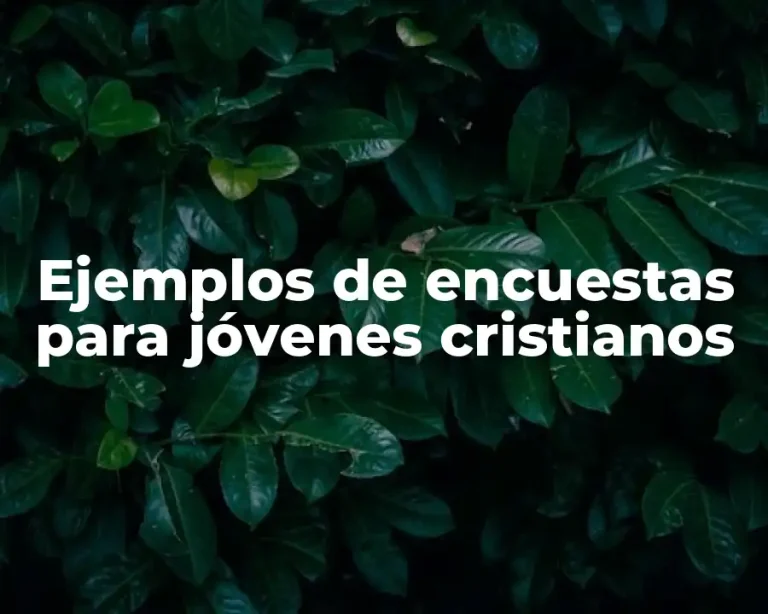 Ejemplos de encuestas para jóvenes cristianos