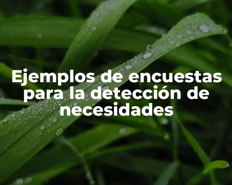Ejemplos de encuestas para la detección de necesidades